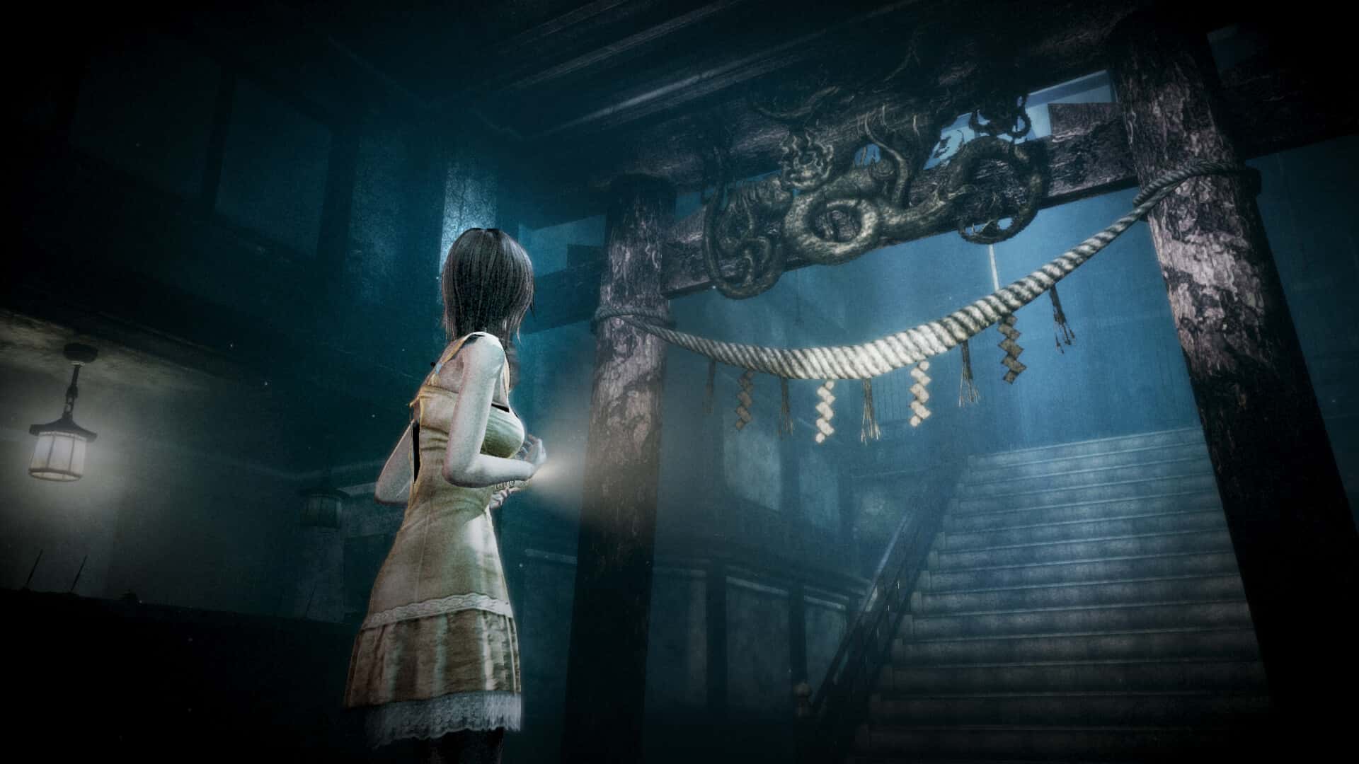 视觉数据2